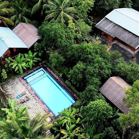 Sun And Green Eco Lodge - Dambulla Eksteriør bilde