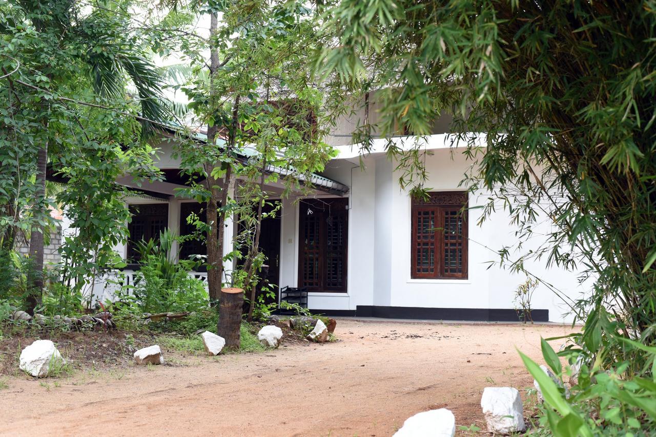 Sun And Green Eco Lodge - Dambulla Eksteriør bilde