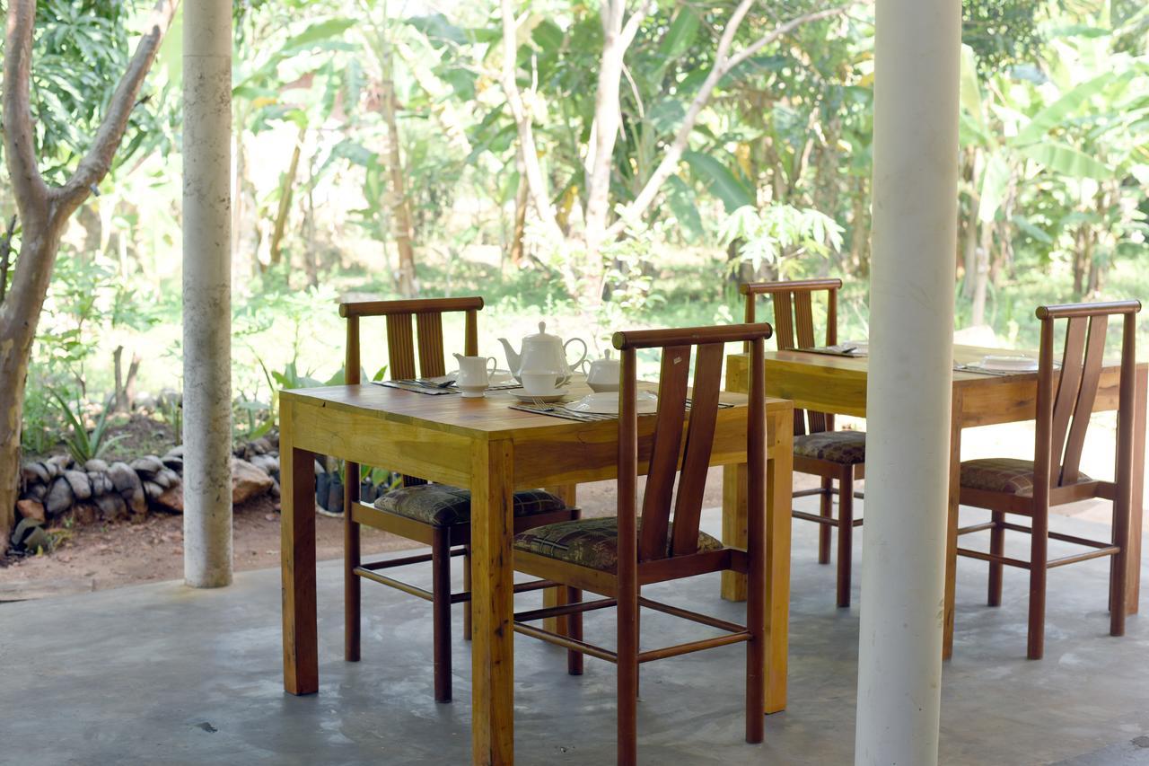 Sun And Green Eco Lodge - Dambulla Eksteriør bilde