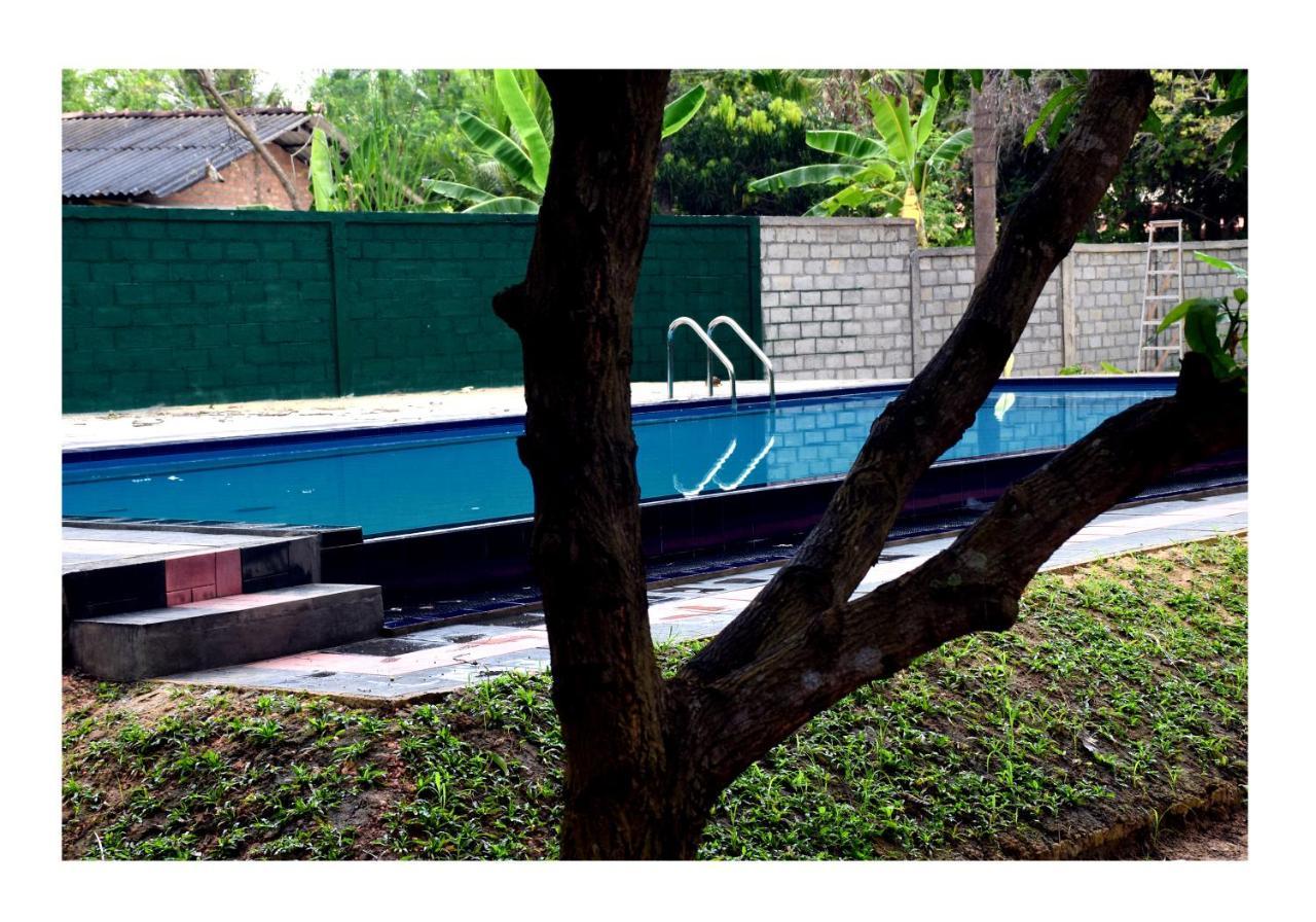 Sun And Green Eco Lodge - Dambulla Eksteriør bilde