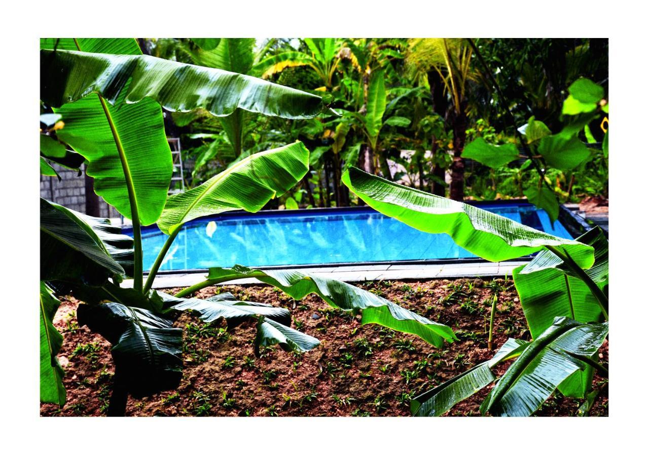 Sun And Green Eco Lodge - Dambulla Eksteriør bilde