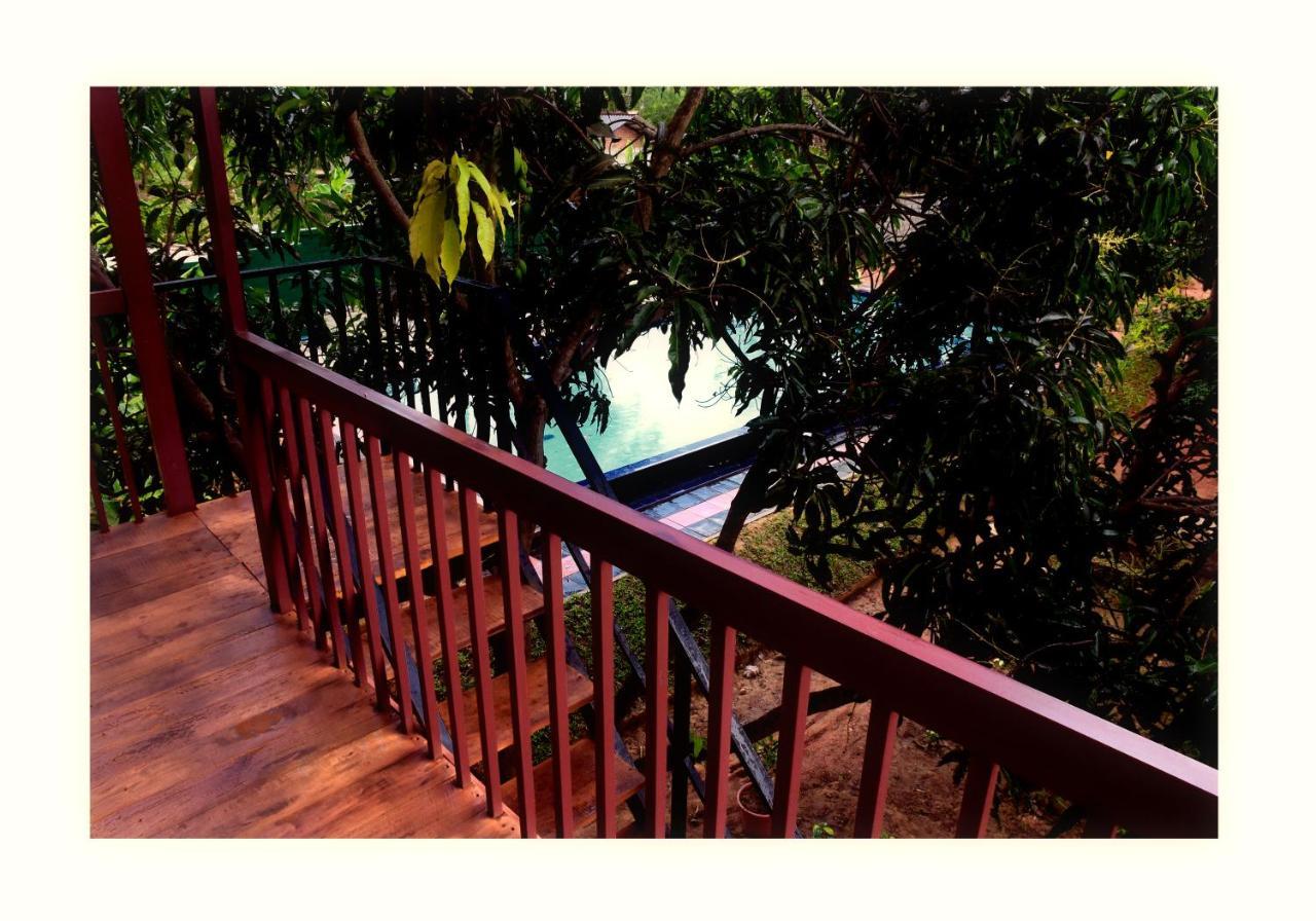 Sun And Green Eco Lodge - Dambulla Eksteriør bilde