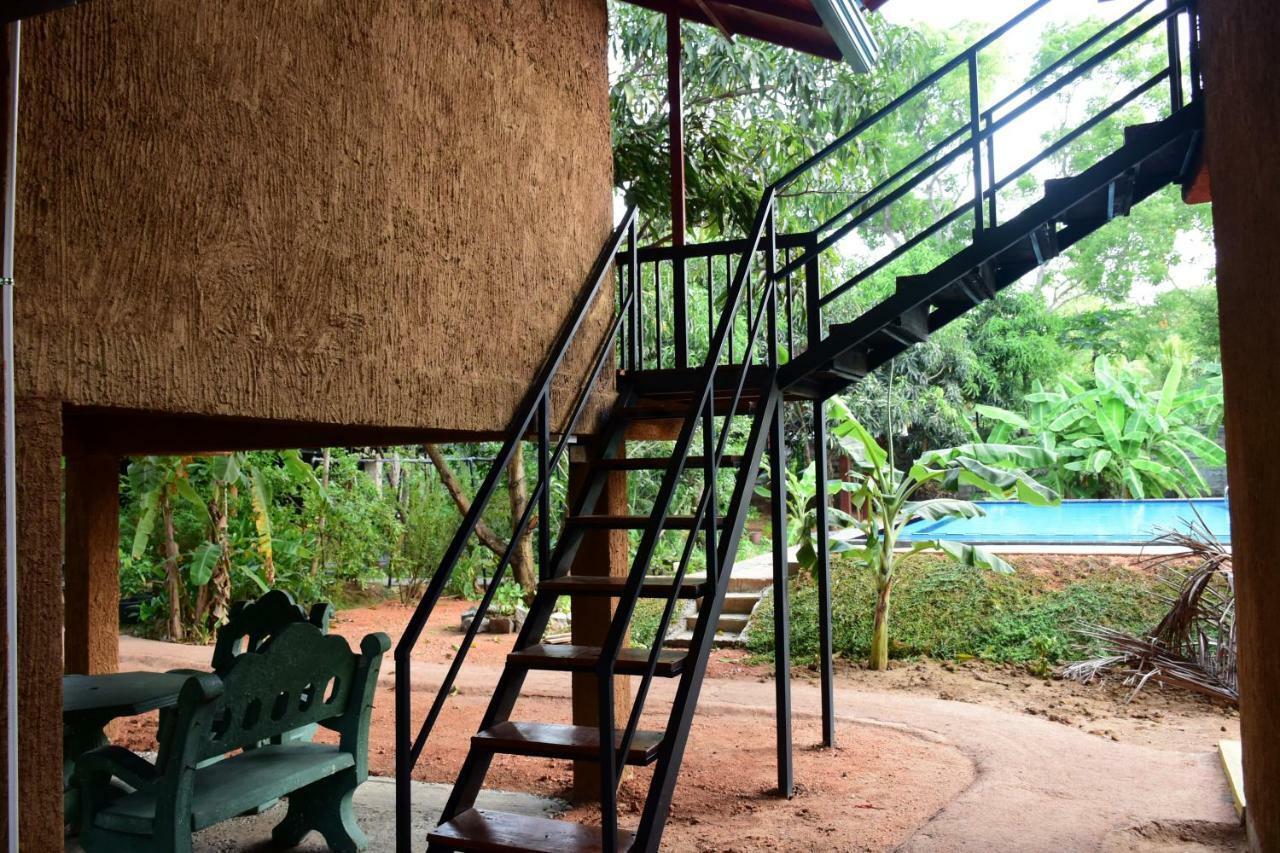 Sun And Green Eco Lodge - Dambulla Eksteriør bilde